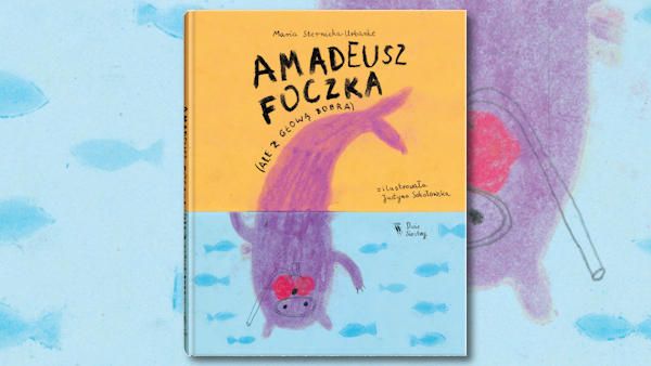 Amadeusz Foczka Amadeusz foczka