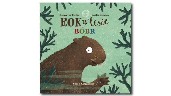 Rok w lesie bobr